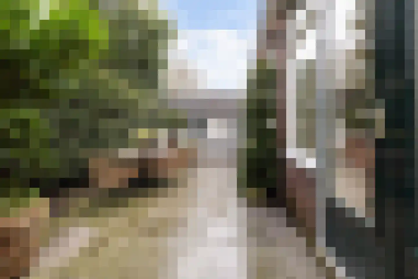 Gardenierslaan 31 Apeldoorn thumbnail 39