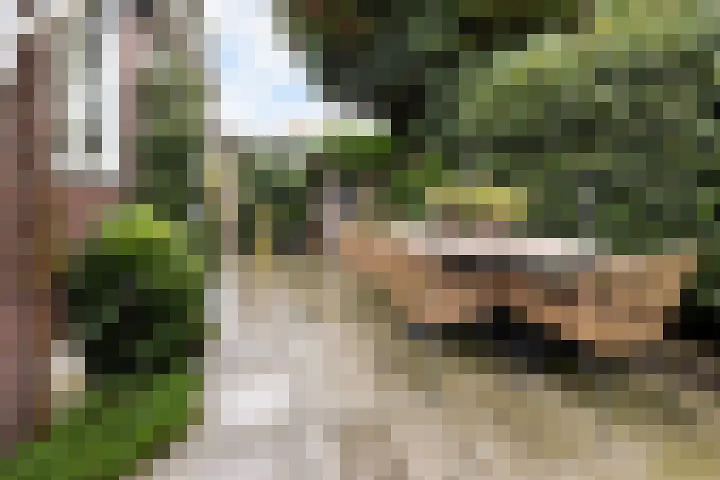 Gardenierslaan 31 Apeldoorn thumbnail 41