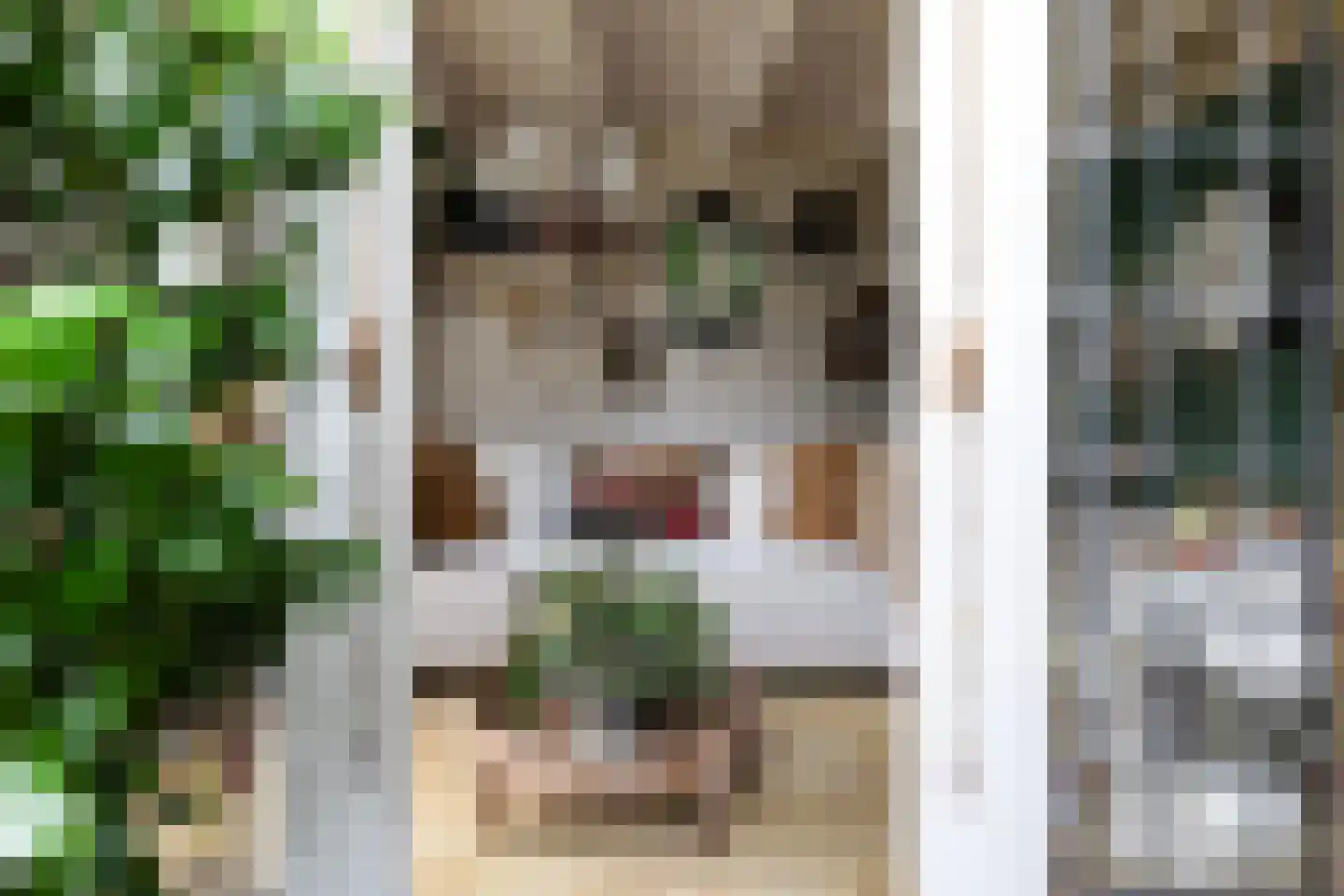 Gardenierslaan 31 Apeldoorn thumbnail 47