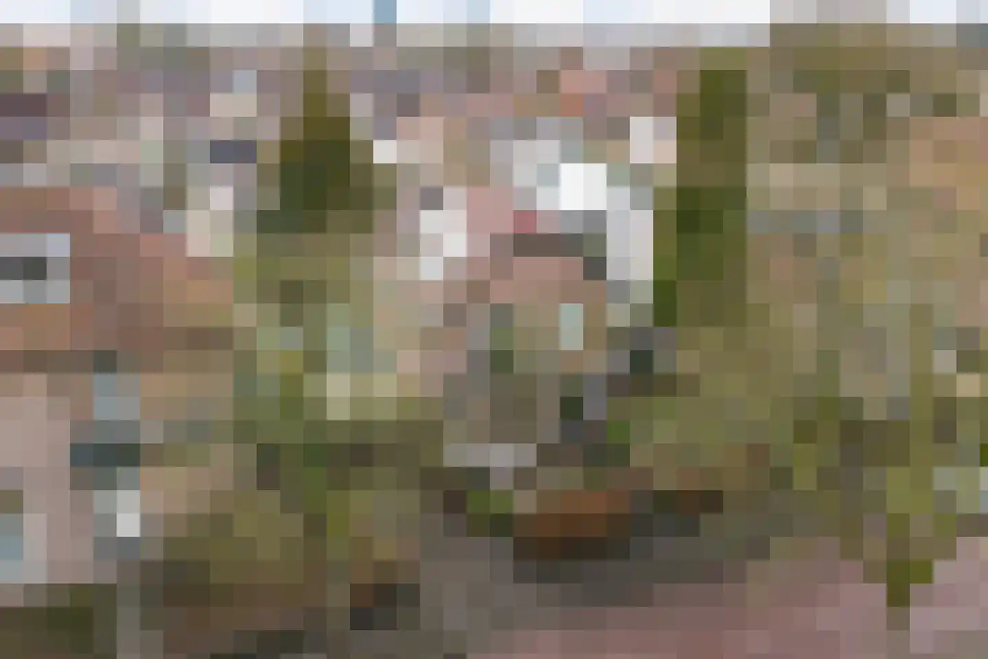 Gardenierslaan 31 Apeldoorn thumbnail 53