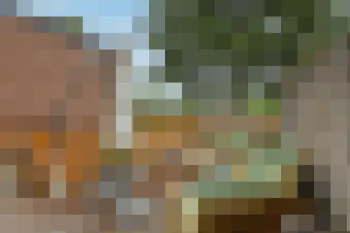 Gardenierslaan 4 2 Apeldoorn thumbnail 15