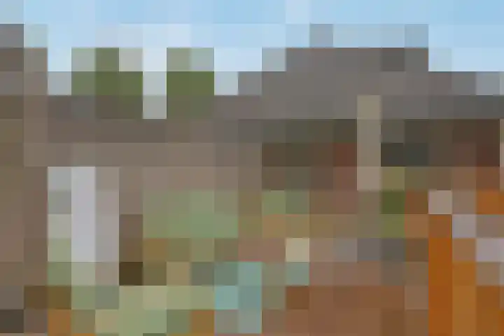 Gardenierslaan 4 2 Apeldoorn thumbnail 16
