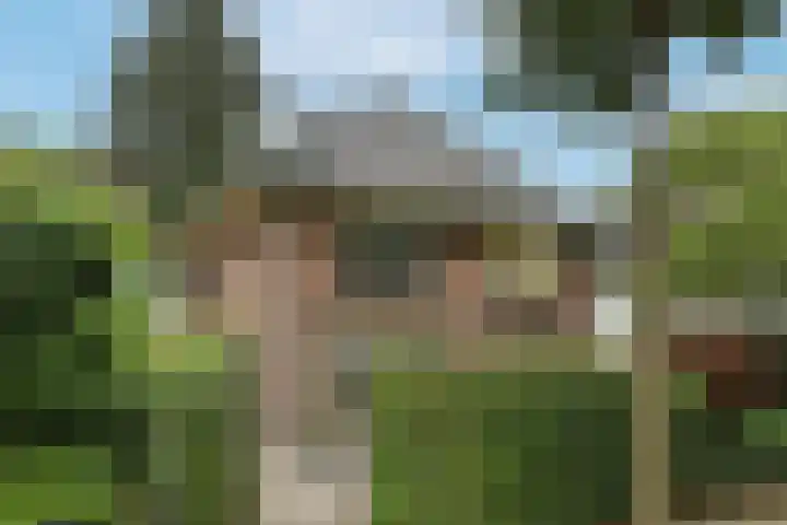 Gardenierslaan 4 2 Apeldoorn thumbnail 27