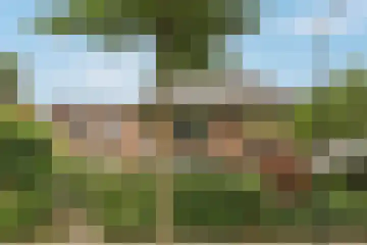 Gardenierslaan 4 2 Apeldoorn thumbnail 28