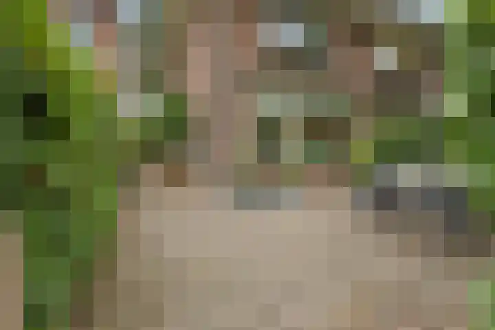 Gardenierslaan 4 2 Apeldoorn thumbnail 29