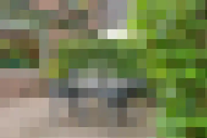 Gardenierslaan 4 2 Apeldoorn thumbnail 30