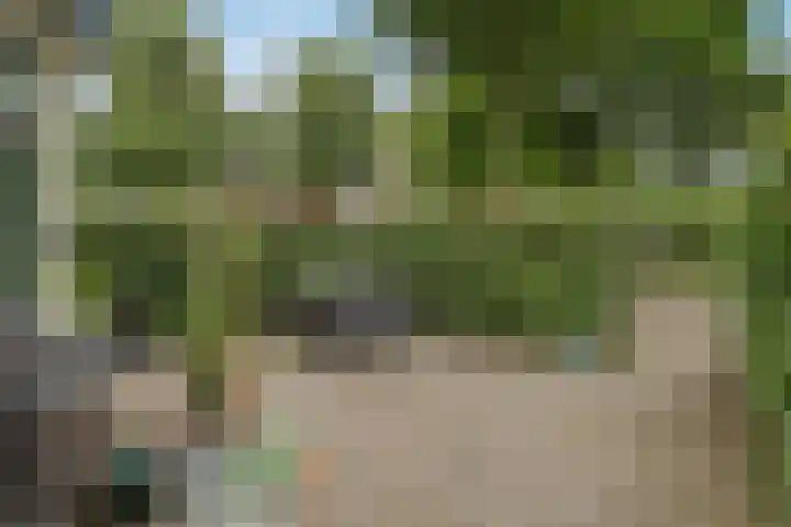 Gardenierslaan 4 2 Apeldoorn thumbnail 31