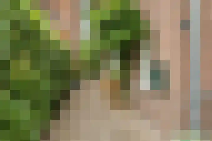 Gardenierslaan 4 2 Apeldoorn thumbnail 33