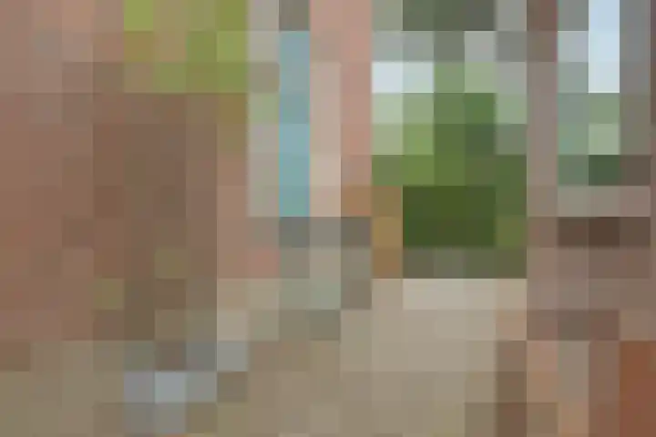 Gardenierslaan 4 2 Apeldoorn thumbnail 34