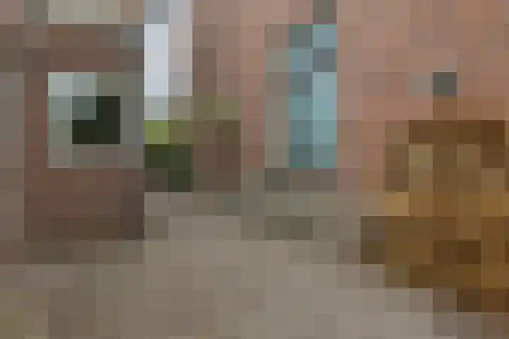Gardenierslaan 4 2 Apeldoorn thumbnail 35