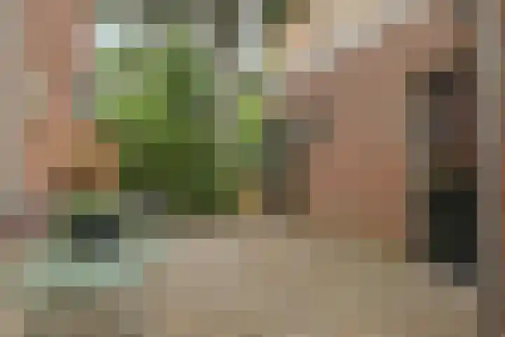 Gardenierslaan 4 2 Apeldoorn thumbnail 36