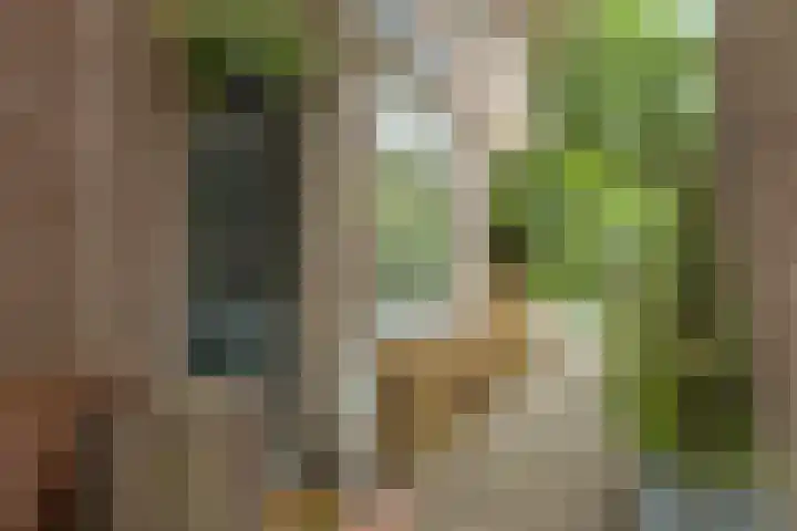 Gardenierslaan 4 2 Apeldoorn thumbnail 37