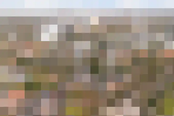 Gardenierslaan 4 2 Apeldoorn thumbnail 38