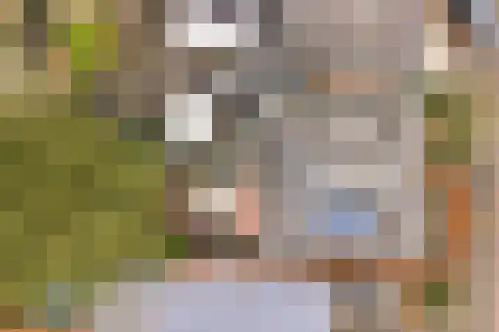 Gardenierslaan 4 2 Apeldoorn thumbnail 39