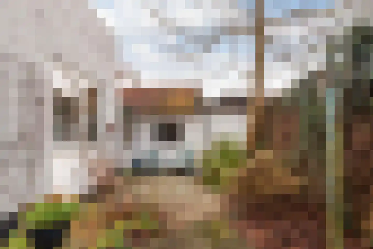 Gardenierslaan 43 Apeldoorn thumbnail 29