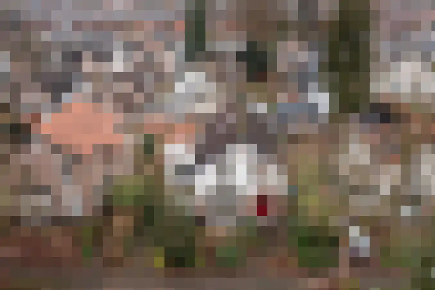 Gardenierslaan 43 Apeldoorn thumbnail 41