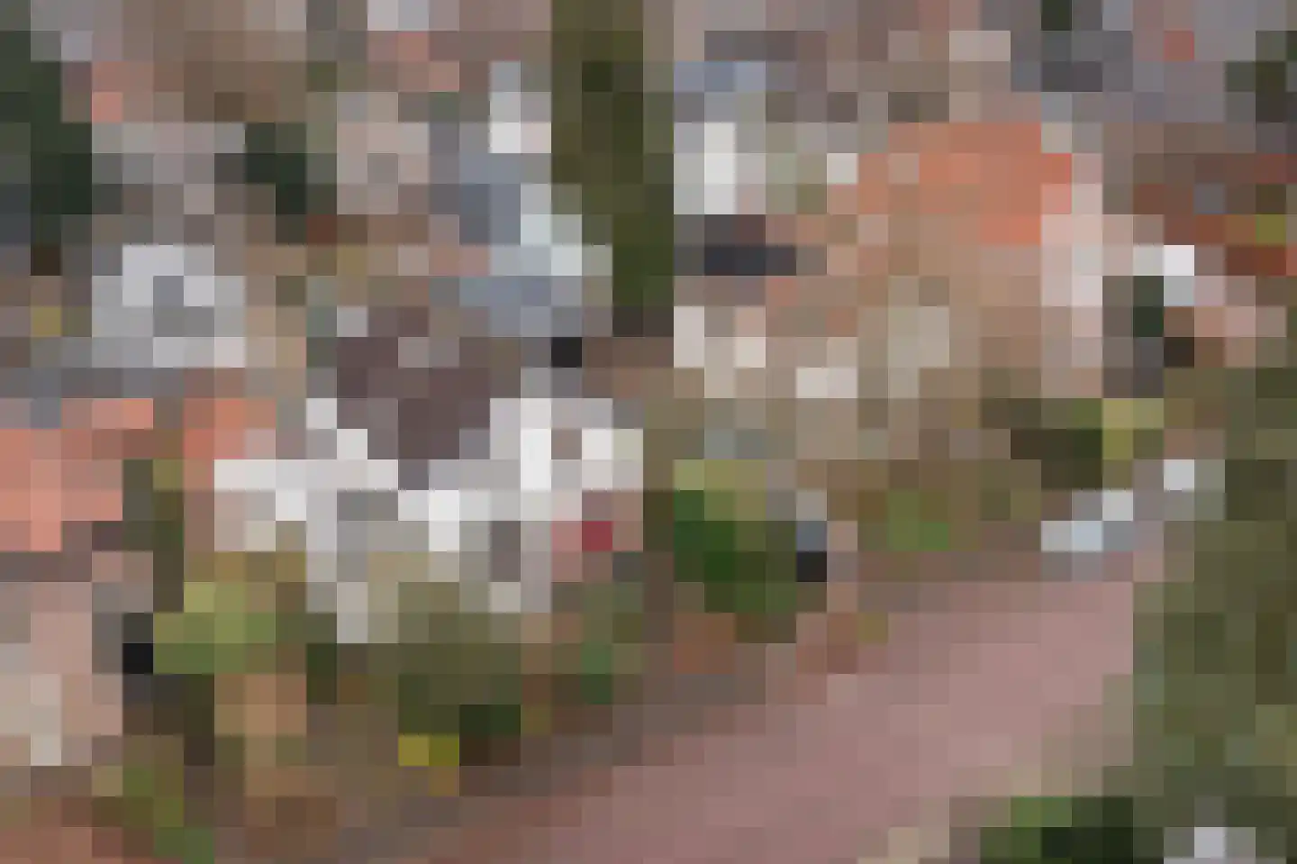 Gardenierslaan 43 Apeldoorn thumbnail 42