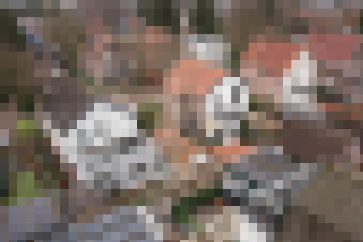 Gardenierslaan 43 Apeldoorn thumbnail 45