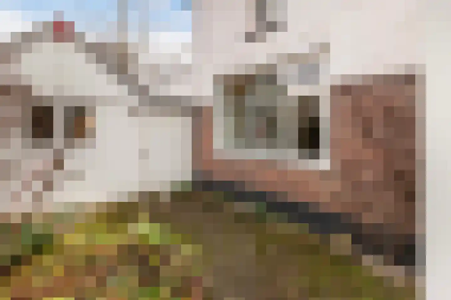 Gardenierslaan 43 Apeldoorn thumbnail 6
