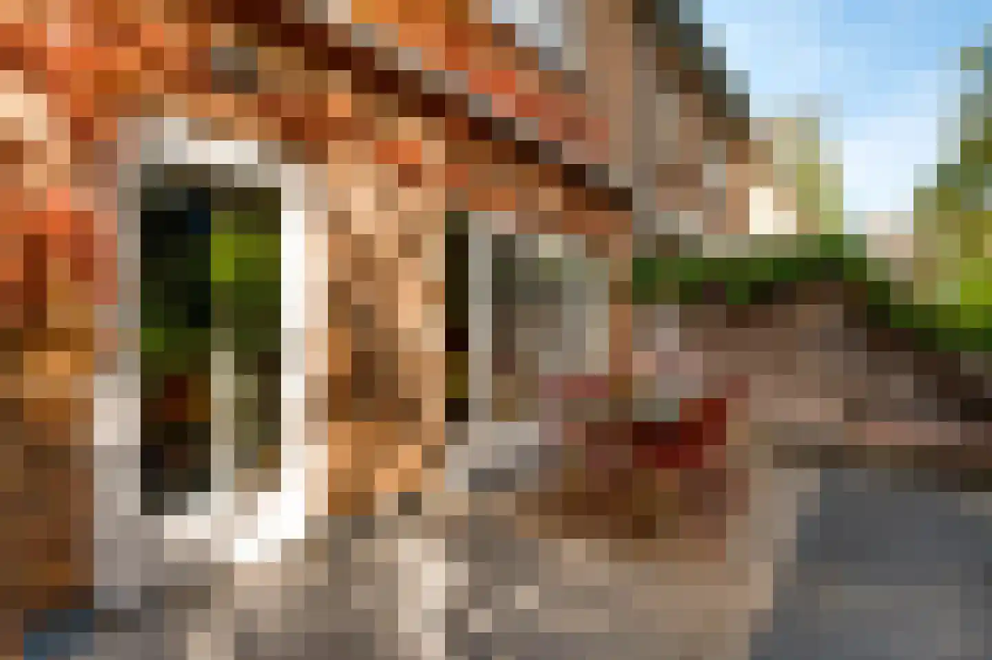 Gardeniersstraat 7 Maastricht thumbnail 20