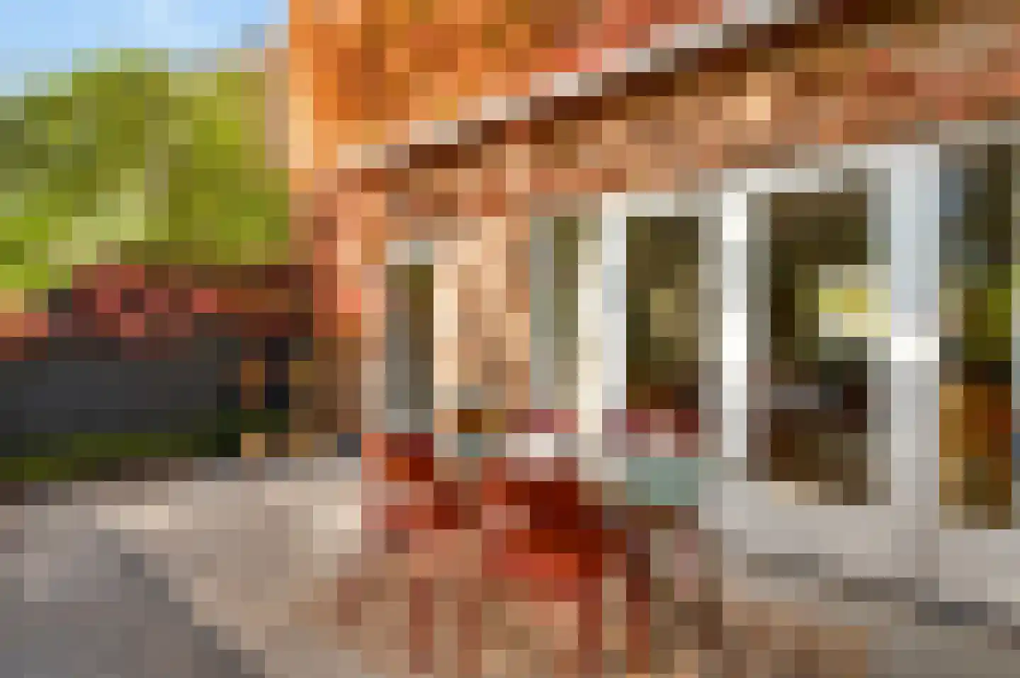 Gardeniersstraat 7 Maastricht thumbnail 23