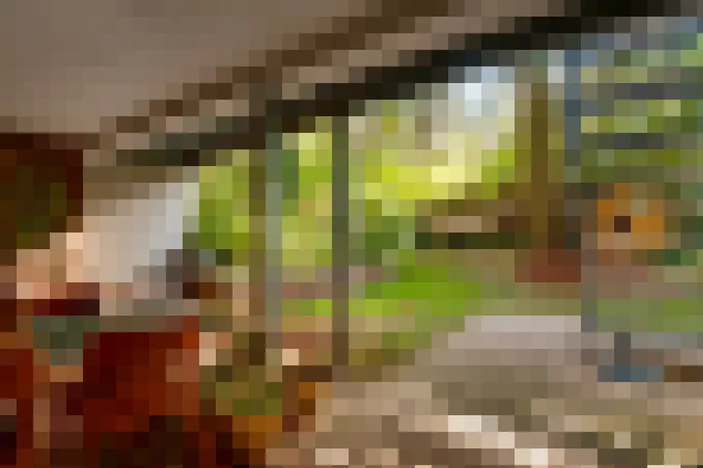 Gardeniersstraat 7 Maastricht thumbnail 28
