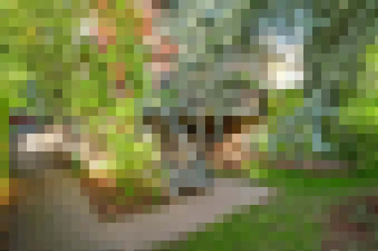 Gardeniersstraat 7 Maastricht thumbnail 31