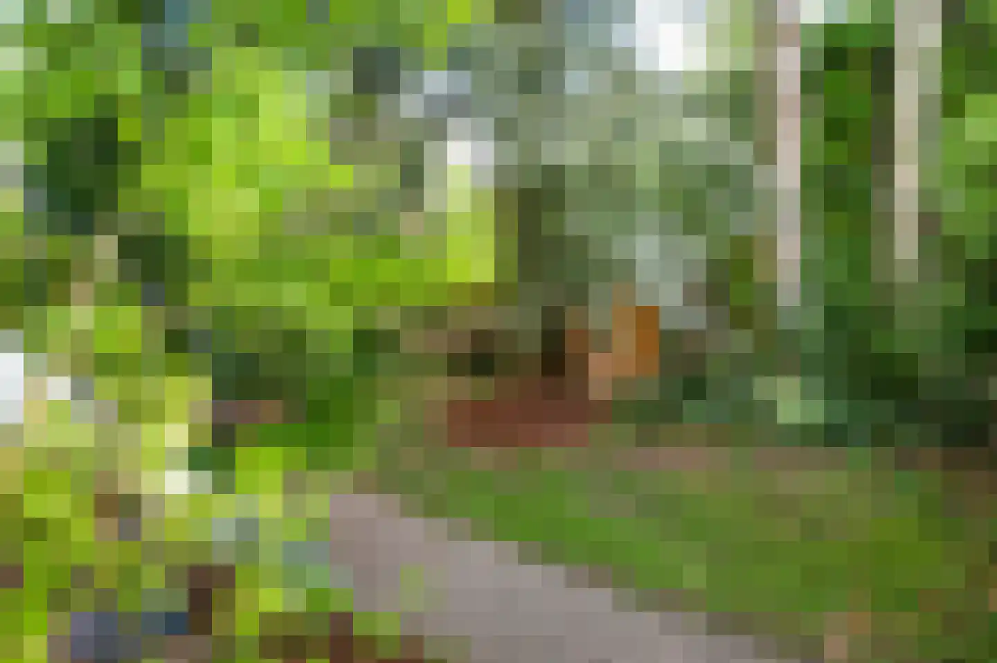 Gardeniersstraat 7 Maastricht thumbnail 32