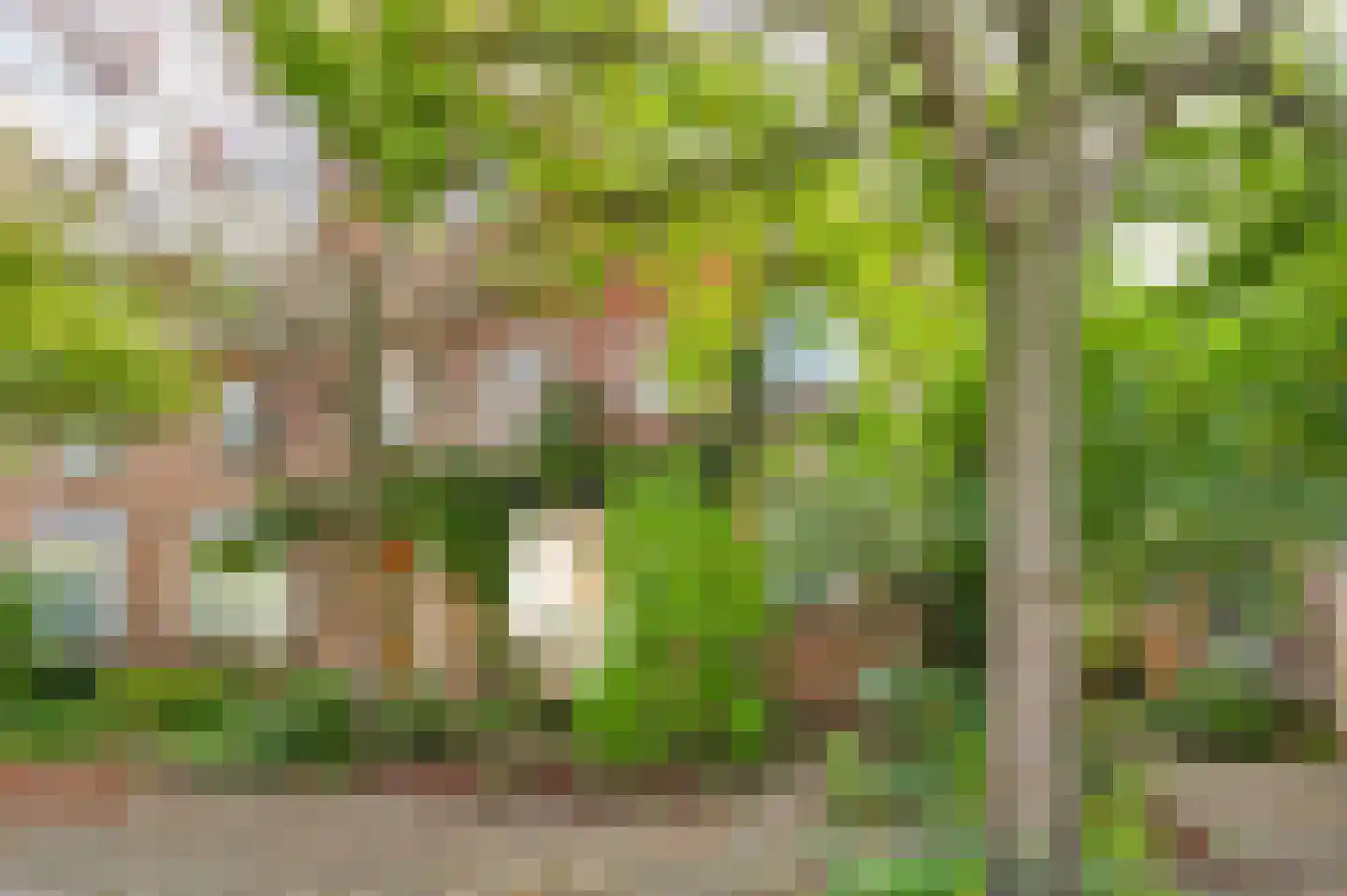 Gardeniersstraat 7 Maastricht thumbnail 8