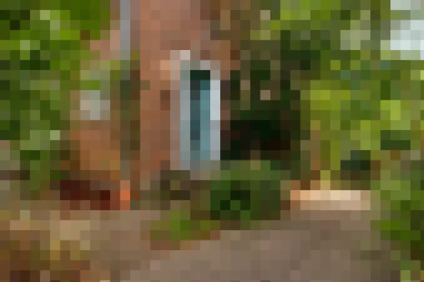 Gardeniersstraat 7 Maastricht thumbnail 9