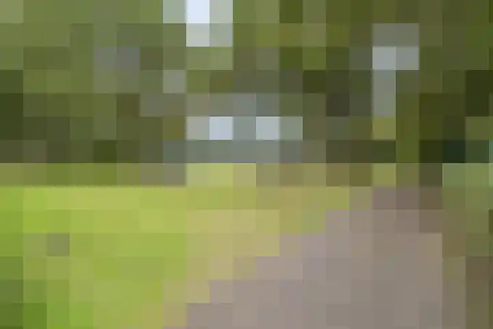 Garderbroekerweg 156 Kootwijkerbroek thumbnail 69