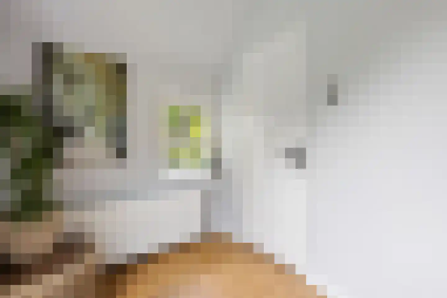 Garderbroekerweg 24 Voorthuizen thumbnail 17