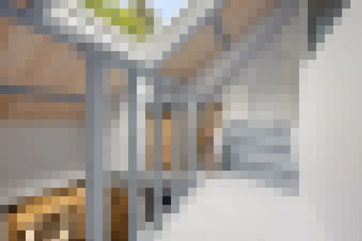 Garderbroekerweg 24 Voorthuizen thumbnail 31