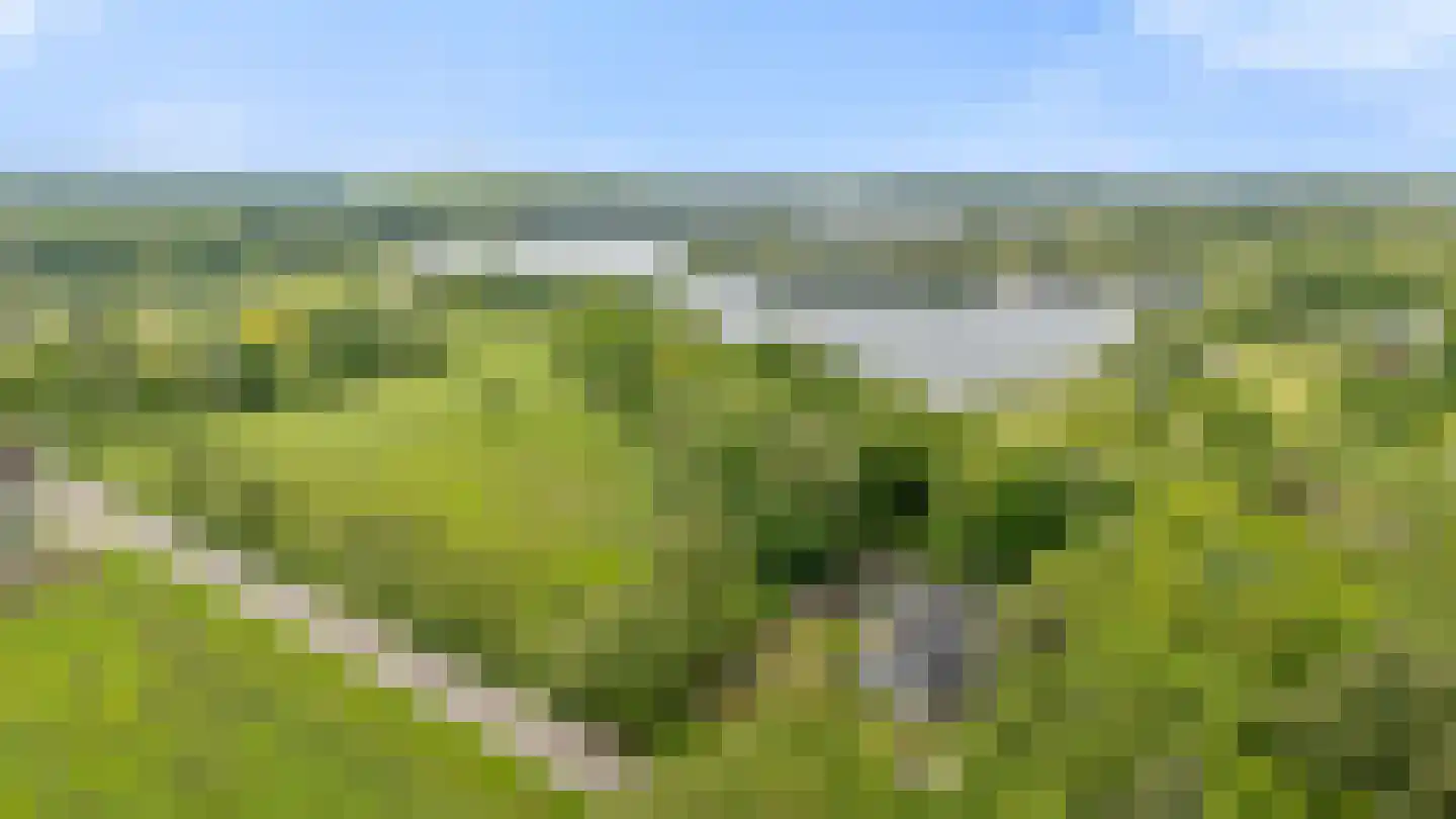 Garderbroekerweg 24 Voorthuizen thumbnail 4