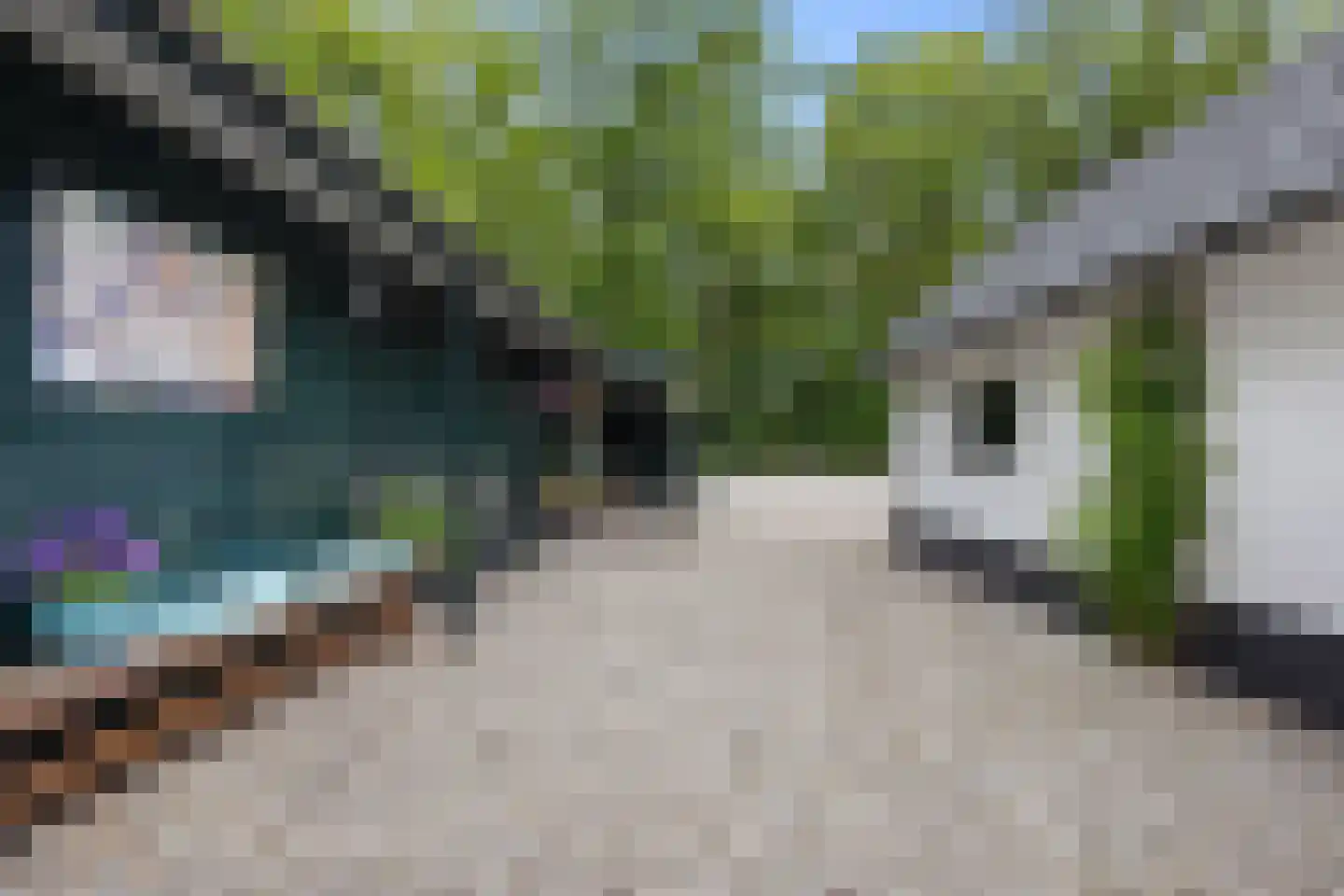 Garderbroekerweg 24 Voorthuizen thumbnail 41