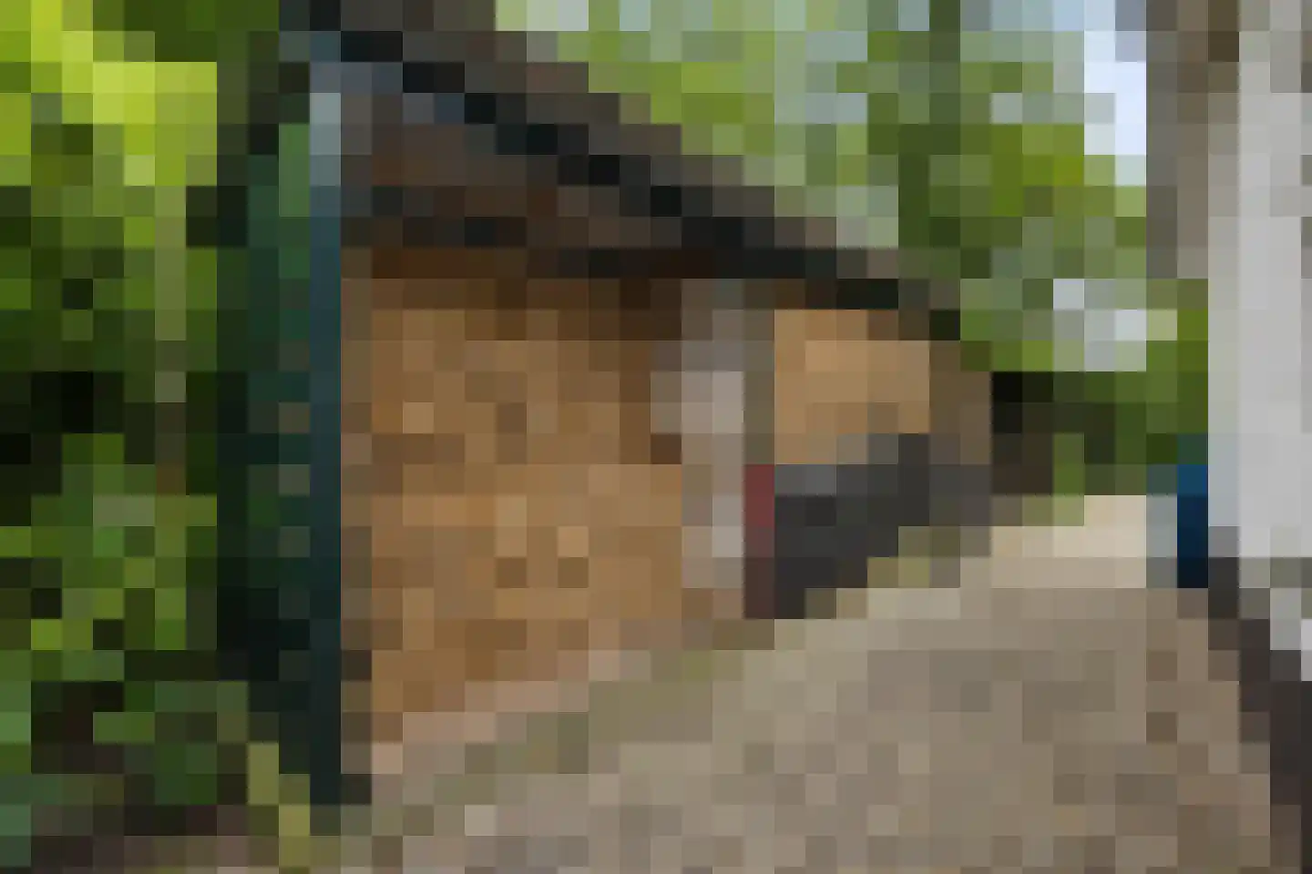 Garderbroekerweg 24 Voorthuizen thumbnail 42