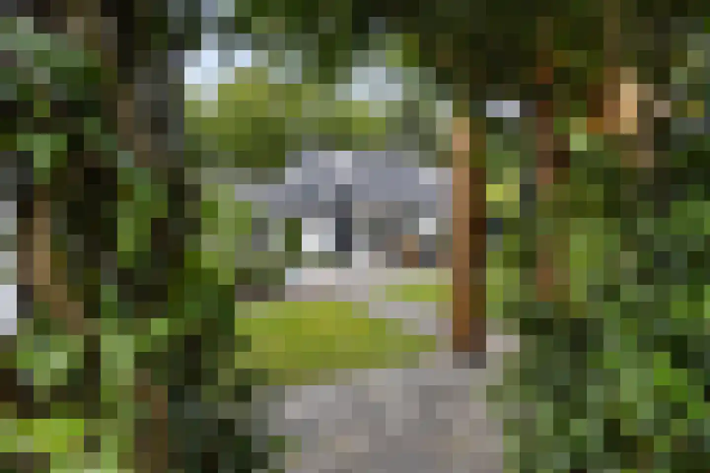Garderbroekerweg 24 Voorthuizen thumbnail 43