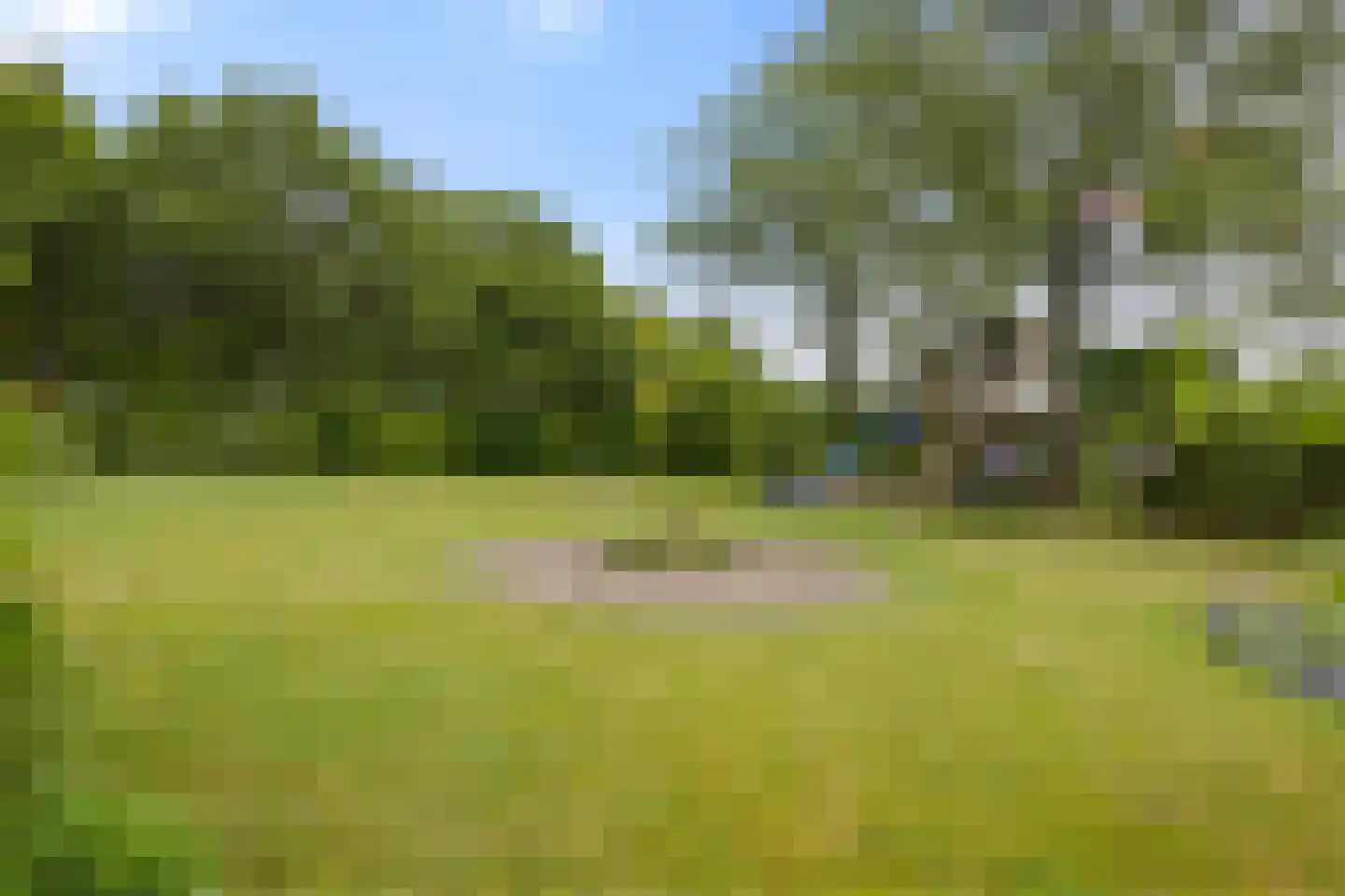 Garderbroekerweg 24 Voorthuizen thumbnail 51