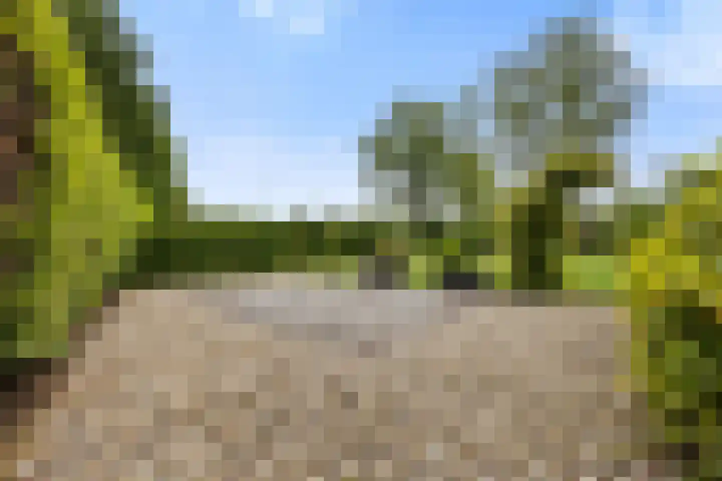 Garderbroekerweg 24 Voorthuizen thumbnail 53