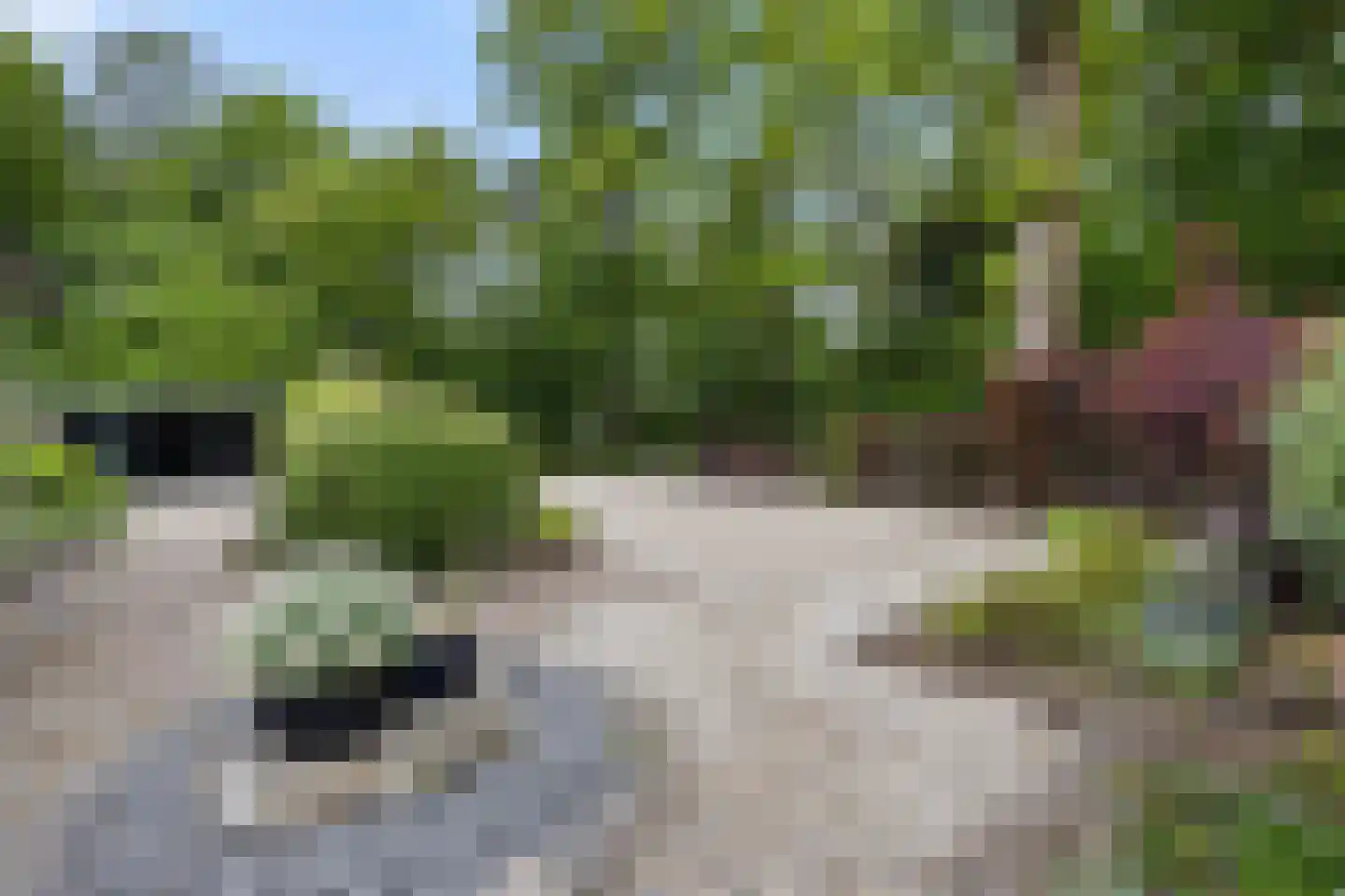 Garderbroekerweg 24 Voorthuizen thumbnail 55