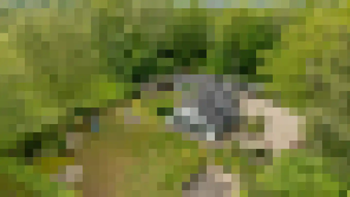Garderbroekerweg 24 Voorthuizen thumbnail 58