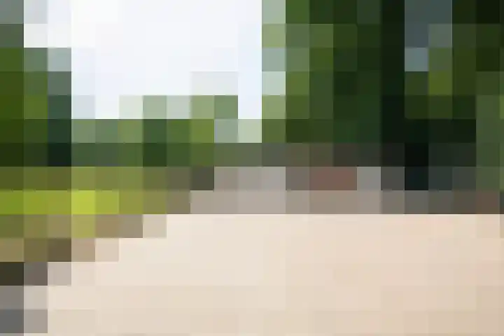 Garderbroekerweg 41 Voorthuizen thumbnail 26