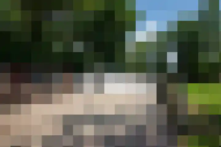 Garderbroekerweg 41 Voorthuizen thumbnail 27