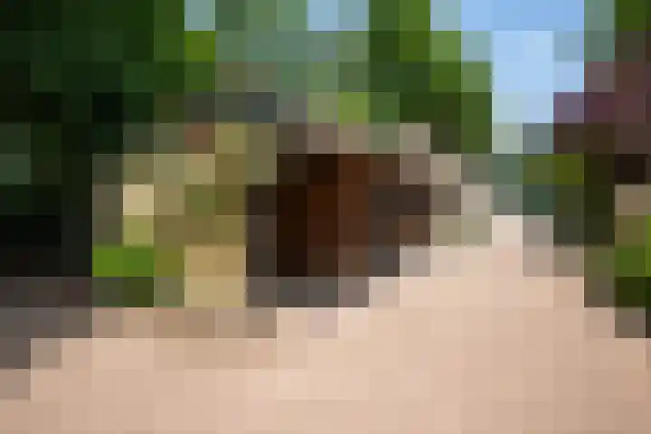 Garderbroekerweg 41 Voorthuizen thumbnail 31