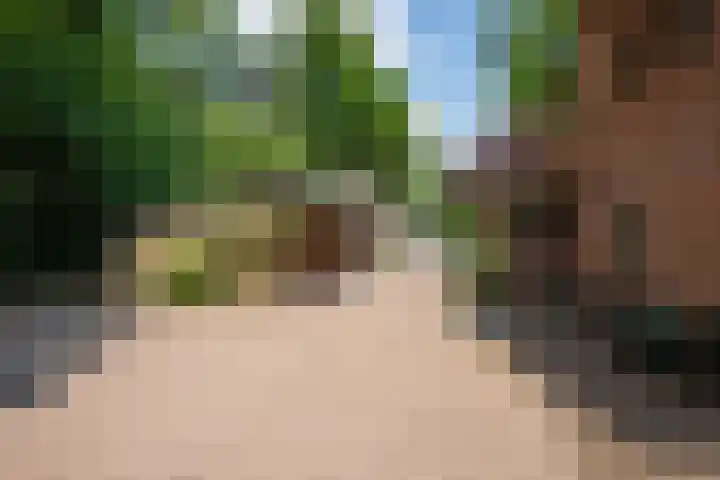 Garderbroekerweg 41 Voorthuizen thumbnail 32