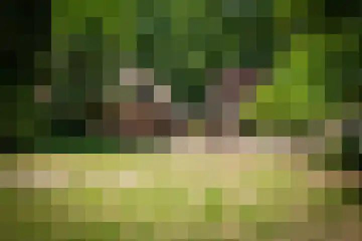 Garderbroekerweg 41 Voorthuizen thumbnail 33