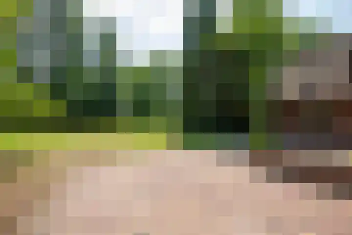 Garderbroekerweg 41 Voorthuizen thumbnail 35