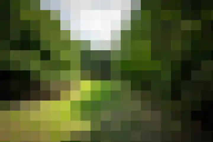Garderbroekerweg 41 Voorthuizen thumbnail 37