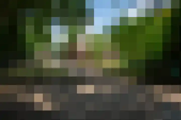 Garderbroekerweg 41 Voorthuizen thumbnail 46