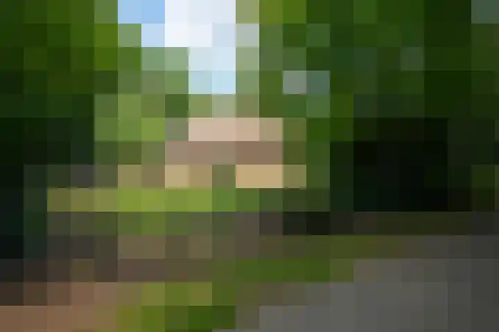 Garderbroekerweg 41 Voorthuizen thumbnail 47